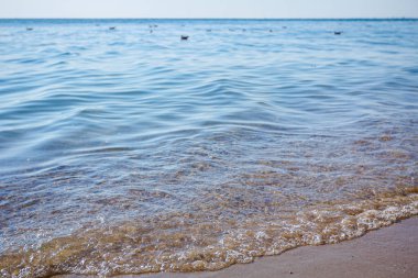 Kıyı şeridindeki küçük dalgalara, sabahın erken saatlerinde köpüklü dalgalara bakın..