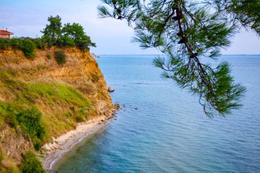 Güzel sığ turkuaz su ve deniz kıyısı boyunca mercan ağaçlarının üzerindeki kozalaklı ağaç tepeciklerine bakın..