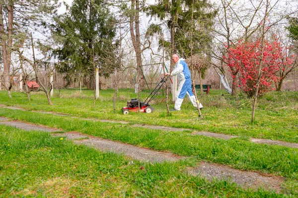 Koruyucu Giysili Bahçıvan Bahçesinde Çimen Biçiyor Çim Biçme Makinesi Meyve — Stok fotoğraf