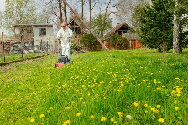 Koruyucu Giysili Bahçıvan Bahçesinde Çimen Biçiyor Çim Biçme Makinesi Meyve — Stok fotoğraf