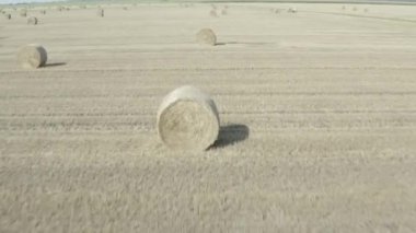İnsansız hava aracı mısır gevreği topladıktan sonra saman balyalarıyla tarlanın üzerinde uçuyor. MAVIC 2 PRO 4K HQ 30fps DLog-M H.265 10 Bit Renkli