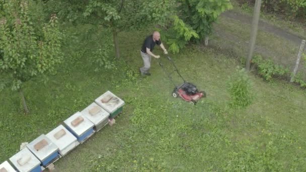 Kamera Schwebt Über Gärtner Mäht Gras Zwischen Bienenstöcken Einer Reihe — Stockvideo