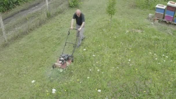 Caméra Plane Dessus Jardinier Coupe Herbe Parmi Les Ruches Disposées — Video