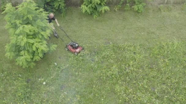 Kamera Schwebt Über Gärtner Mäht Gras Seinem Garten Mit Motorrasenmäher — Stockvideo