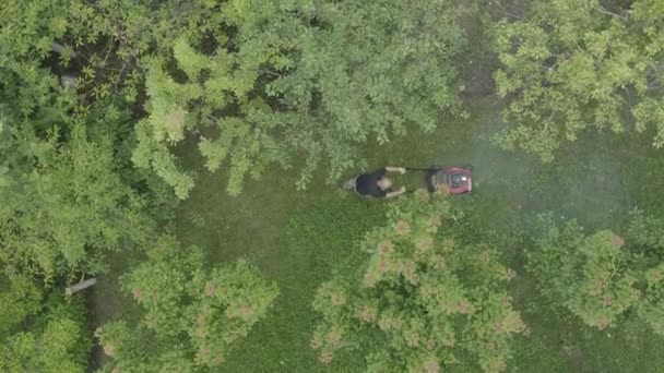 Kamera Schwebt Über Gärtner Mäht Gras Seinem Obstgarten Zwischen Obstbäumen — Stockvideo