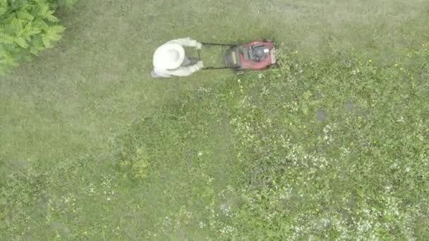 Caméra est planant au-dessus du jardinier coupe l'herbe dans sa cour avec tondeuse à gazon à moteur. MAVIC 2 PRO 4K HQ 30fps DLog-M H.265 10 bits Couleur