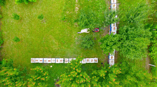 Above view on beekeeper as he is cutting grass among beehives arranged in a row, line, bee colony, with motor lawn mower.