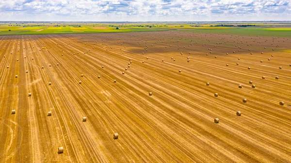 Blick Auf Runde Strohballen Auf Landwirtschaftlichem Feld Nach Der Ernte — Stockfoto