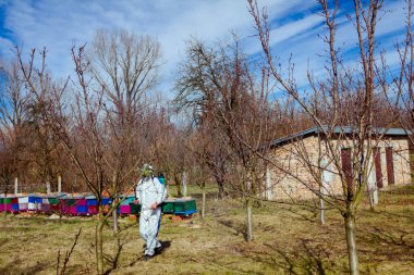 Koruyucu giysiler ve gaz maskeli çiftçi meyve bahçesindeki meyve ağaçlarının uzun spreylerini kullanarak onları mantar hastalıklarından veya parazitlerden korur..