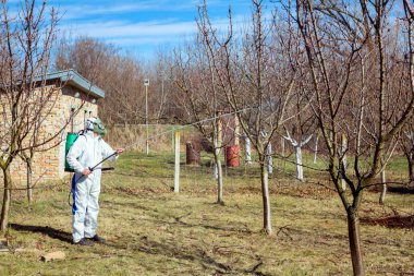 Bahçedeki meyve ağaçlarının koruyucu giysileri ve gaz maskeli çiftçileri uzun spreyleri kullanarak ilkbaharın başlarında onları mantar hastalıklarından veya haşaratlardan koruyorlar..