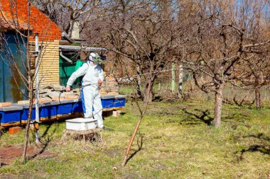 Koruyucu giysiler ve gaz maskeli çiftçi meyve bahçesindeki meyve ağaçlarının uzun spreylerini kullanarak onları mantar hastalıklarından veya parazitlerden korur..