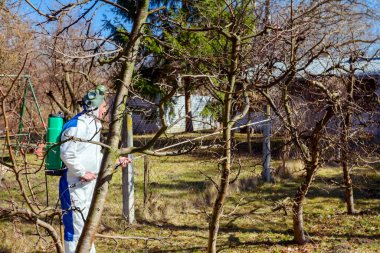 Bahçedeki meyve ağaçlarının koruyucu giysileri ve gaz maskeli çiftçileri uzun spreyleri kullanarak ilkbaharın başlarında onları mantar hastalıklarından veya haşaratlardan koruyorlar..