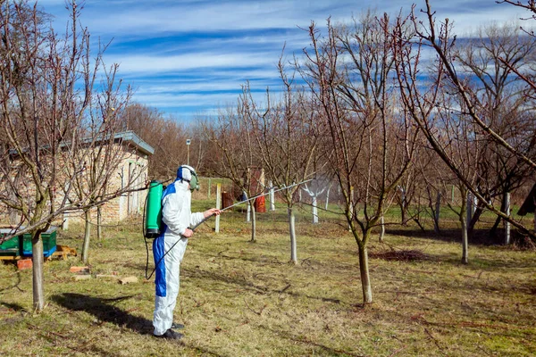 Bahçedeki meyve ağaçlarının koruyucu giysileri ve gaz maskeli çiftçileri uzun spreyleri kullanarak ilkbaharın başlarında onları mantar hastalıklarından veya haşaratlardan koruyorlar..
