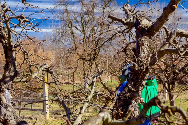 Landwirt Schutzkleidung Und Gasmaske Sprüht Obstbäume Obstgarten Mit Langen Sprühgeräten — Stockfoto
