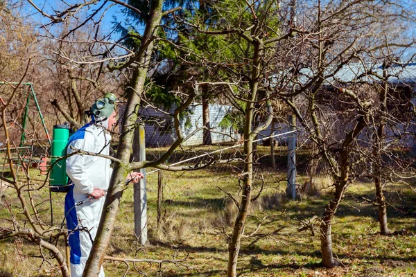Bahçedeki meyve ağaçlarının koruyucu giysileri ve gaz maskeli çiftçileri uzun spreyleri kullanarak ilkbaharın başlarında onları mantar hastalıklarından veya haşaratlardan koruyorlar..