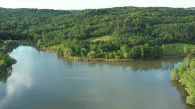 Dolly 'nin hareket halindeki görüntüsü yeşil tepe üzerinde, göl kıyısındaki orman. Kırlangıçlar uçuşuyor.