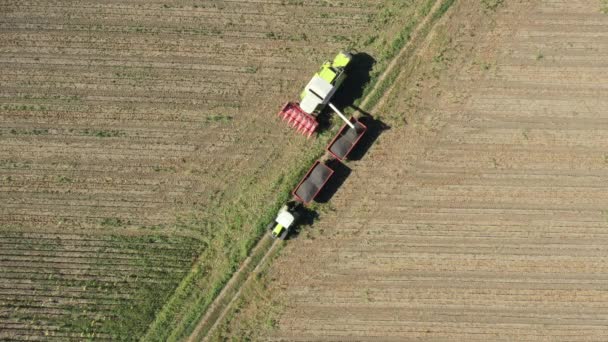 Luftaufnahme Des Umschlags Vom Landwirtschaftlichen Mähdrescher Auf Den Anhänger Entladen — Stockvideo