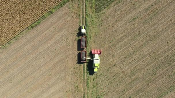 Aerial Top View Transshipment Agricultural Harvester Combine Trailer Unloading Harvested — Stock Video