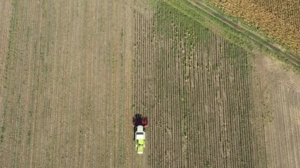 Vista Superior Aérea Colheitadeira Agrícola Está Cortando Colhendo Girassol Maduro — Vídeo de Stock