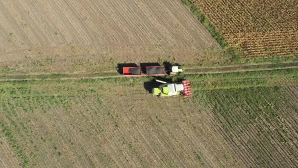 Aerial Top View Transshipment Agricultural Harvester Combine Trailer Unloading Harvested — Stock Video