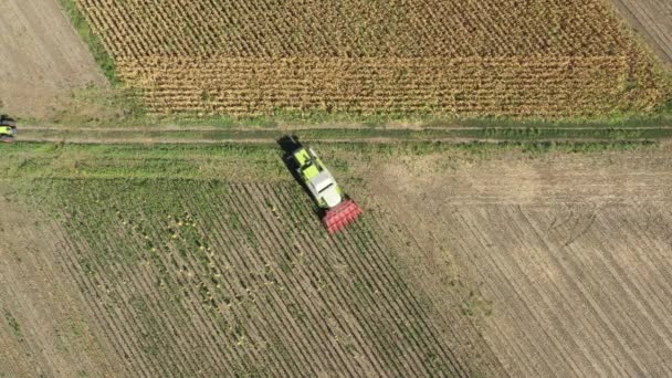 農業用収穫機の空中トップビューは 農場の畑で成熟したひまわりを切り取って収穫しています — ストック動画