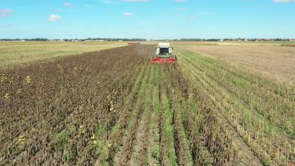 Blick Auf Landwirtschaftliche Erntemaschine Beim Schneiden Und Ernten Reifer Sonnenblumen — Stockvideo