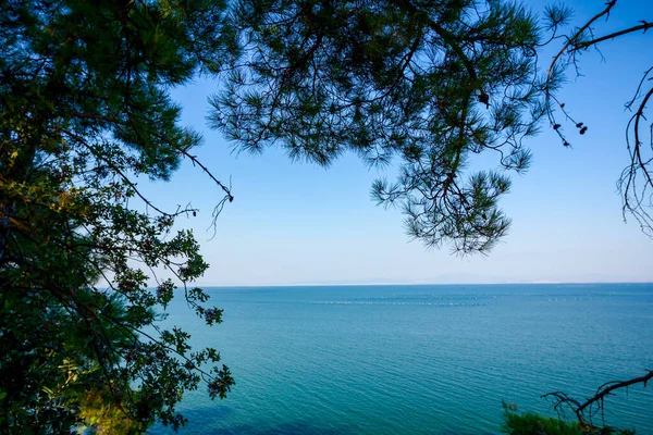 Paisagem Mar Aberto Com Vegetação Verde Dossel Pinheiro Ilhas Estão — Fotografia de Stock