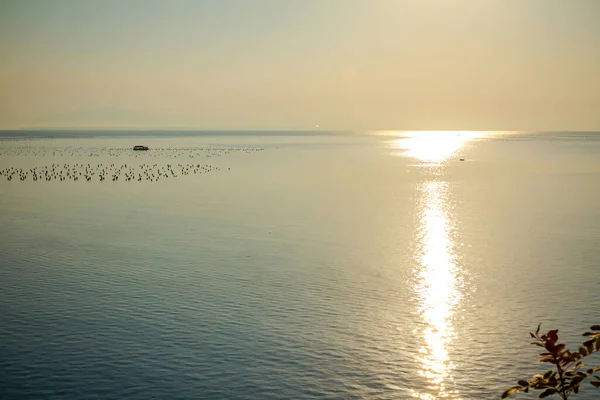 Bateau Pêche Passe Dessus Mer Travailler Sur Ferme Coquillages — Photo