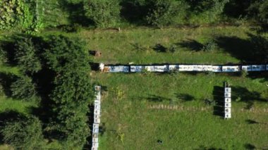 Yavaşça yukarı çık, yukarıdan aşağıya doğru çekilen bebek, arıcı çizgi halinde sıralanmış ahşap renkli arı kovanlarındaki durumu kontrol ediyor.. 