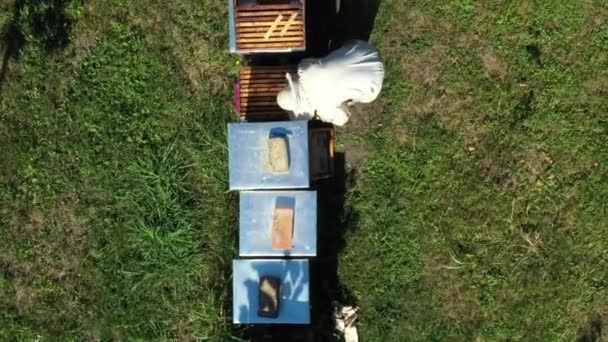 慢慢向上移动 娃娃从上往下射 养蜂人正在控制着一排排五颜六色的木制蜂窝 线形蜂群的情况 — 图库视频影像