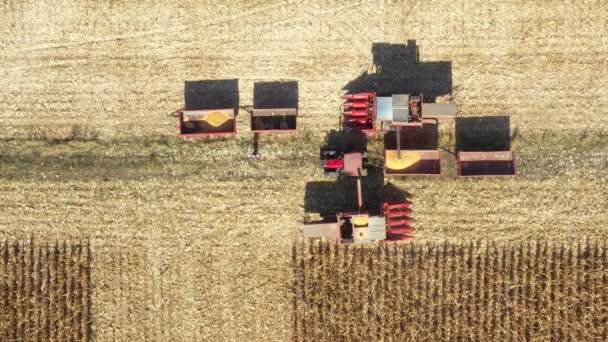 농산물 업자들이 하나씩 차례로 화물을 운반하는 장면을 공중에서 옥수수를 분해하는 — 비디오