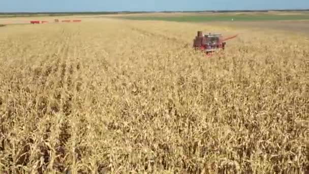 Powoli Poruszają Się Lalki Ujęcia Powyżej Kamera Krąży Wokół Rolniczego — Wideo stockowe