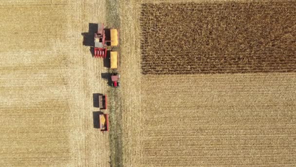 从农业收割机转船的空中俯瞰 与拖车相结合 卸下收获的玉米 — 图库视频影像