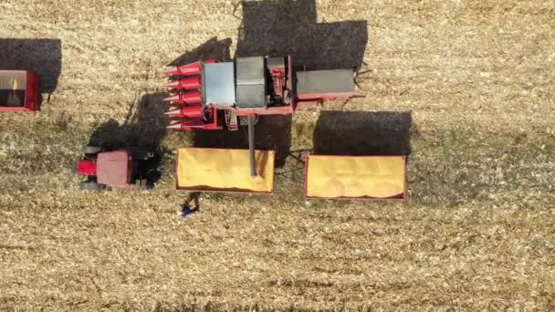 農業の収穫者からの輸送の空中トップビューは トレーラーに結合し 収穫されたトウモロコシをアンロード — ストック動画