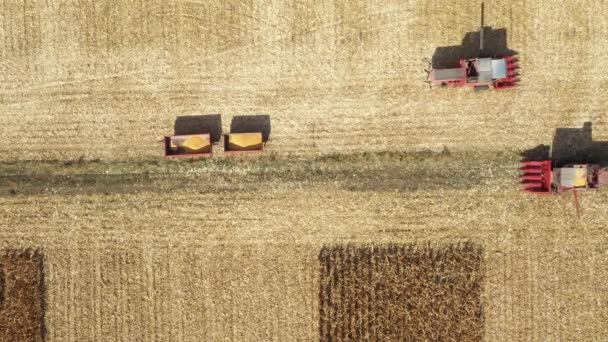 Vue Aérienne Dessus Transbordement Séparé Après Autre Deux Moissonneuses Agricoles — Video