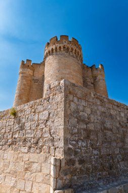 Penafiel, Valladolid, İspanya. Güneşli bir yaz gününde ortaçağ kalesinin manzarası. Kulelerini ve tarihsel mirasını gözler önüne seriyor..