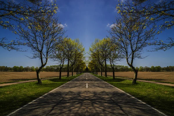 Country road in spring