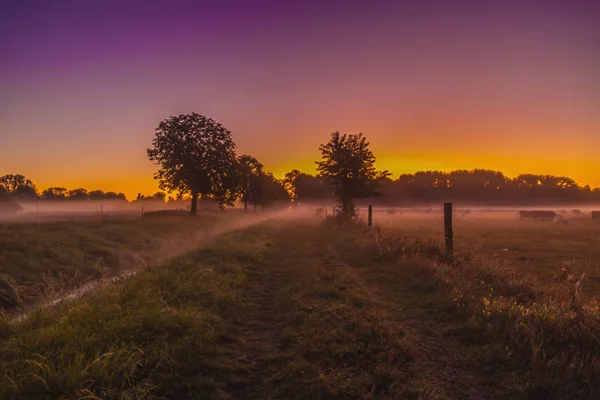 sunrise in autumn with fog under a colorful sky