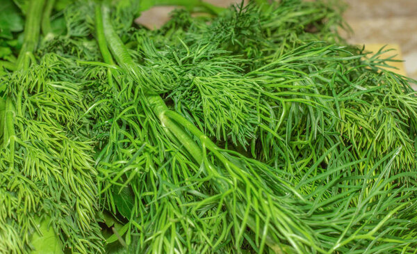 fresh green seasoning close up