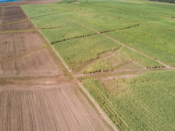 Drone Strzał Rolnictwa Childers Queensland — Zdjęcie stockowe