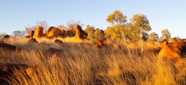Küçük çakıl taşları turistik. Tennant Creek, Northern Territory, Avustralya bölgede fotoğrafı