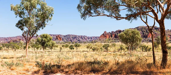 Famous Bungle Bungles Western Australia Remote Only Discovered 1983 — Stock Photo, Image