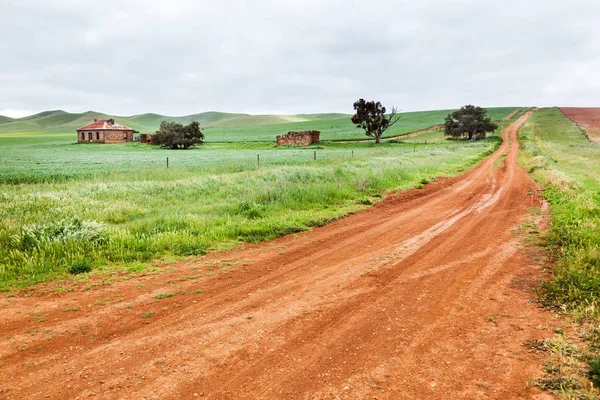 Campi Grano Nelle Terre Fluviali Australia — Foto Stock