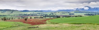 Panoram bakan merkezi Nsw çevresinde Mudgee vadide
