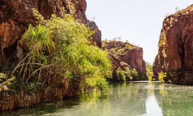 Çim Hill Gorge çim Hill Creek, çok sayıda temiz su springs bölgesindeki Batı olarak da bilinen Boodjamulla kireçtaşı Yaylası beslenen tarafından oluşturulmuş