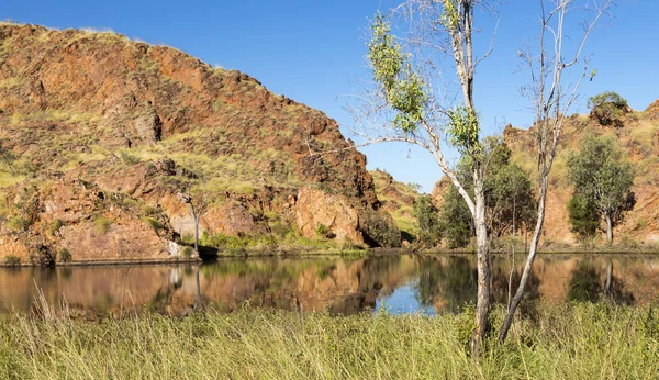 Pond Edge Lake Argyle Western Australi — Stock Photo, Image