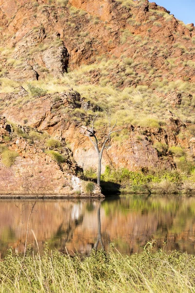 Rybník Okraji Jezera Argyle Západní Aust — Stock fotografie
