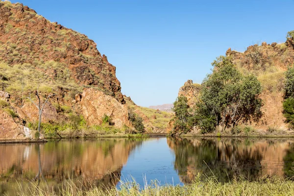 Pond Edge Lake Argyle Western Australi — Stock Photo, Image