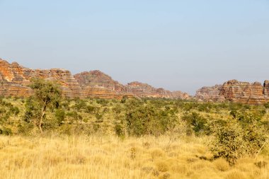 Bungle Bungles olarak da bilinen Purnululu Milli Parkı, Kimberley, Wa