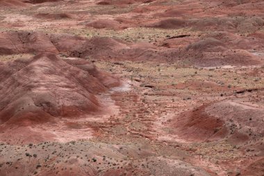 Boyalı Çöl taşlaşmış orman Milli Parkı Navajo ve Apache ilçenin kuzeydoğu Arizona parçası var. Güneybatı Amerika Birleşik Devletleri ve hangi boyalı çöl ben alır üzerinden birçok yerinde yüzeyinde görünür renkli Chinle